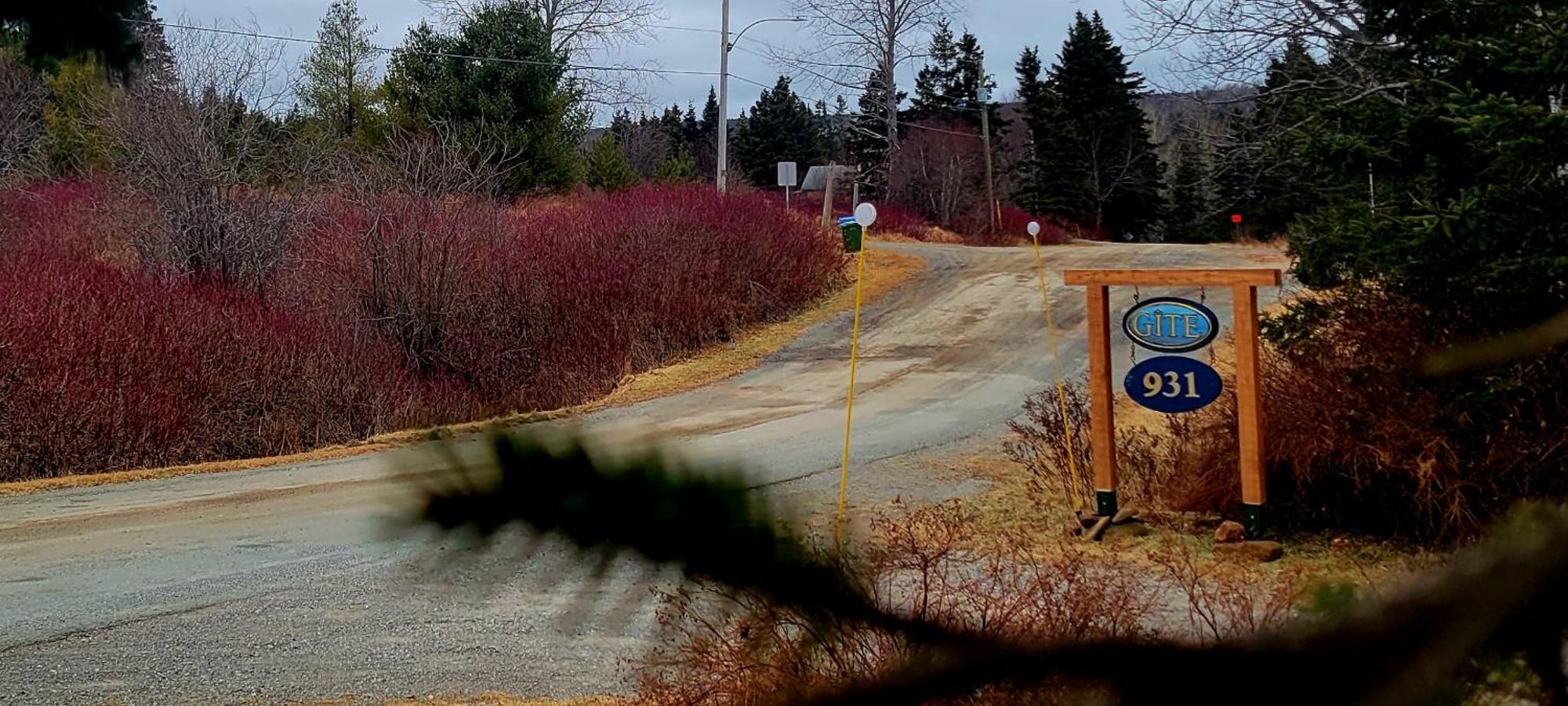 Gite Aux Jardins De L'Anse Perce Esterno foto