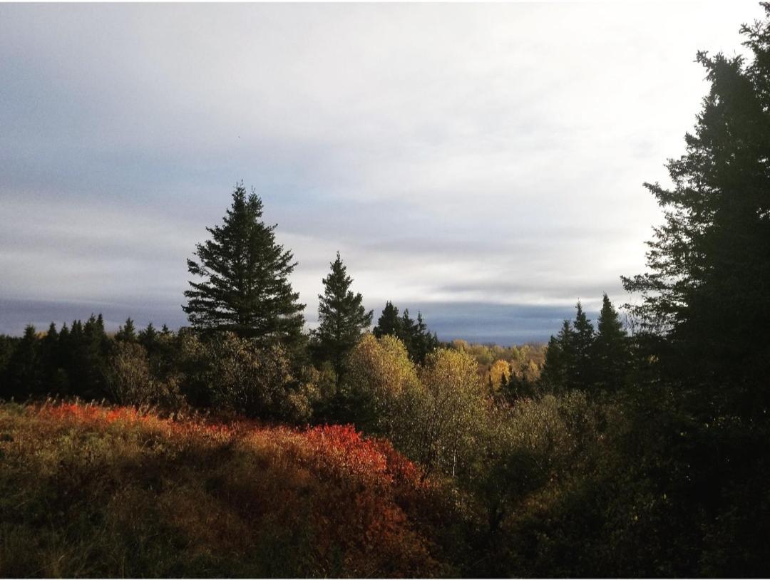 Gite Aux Jardins De L'Anse Perce Esterno foto