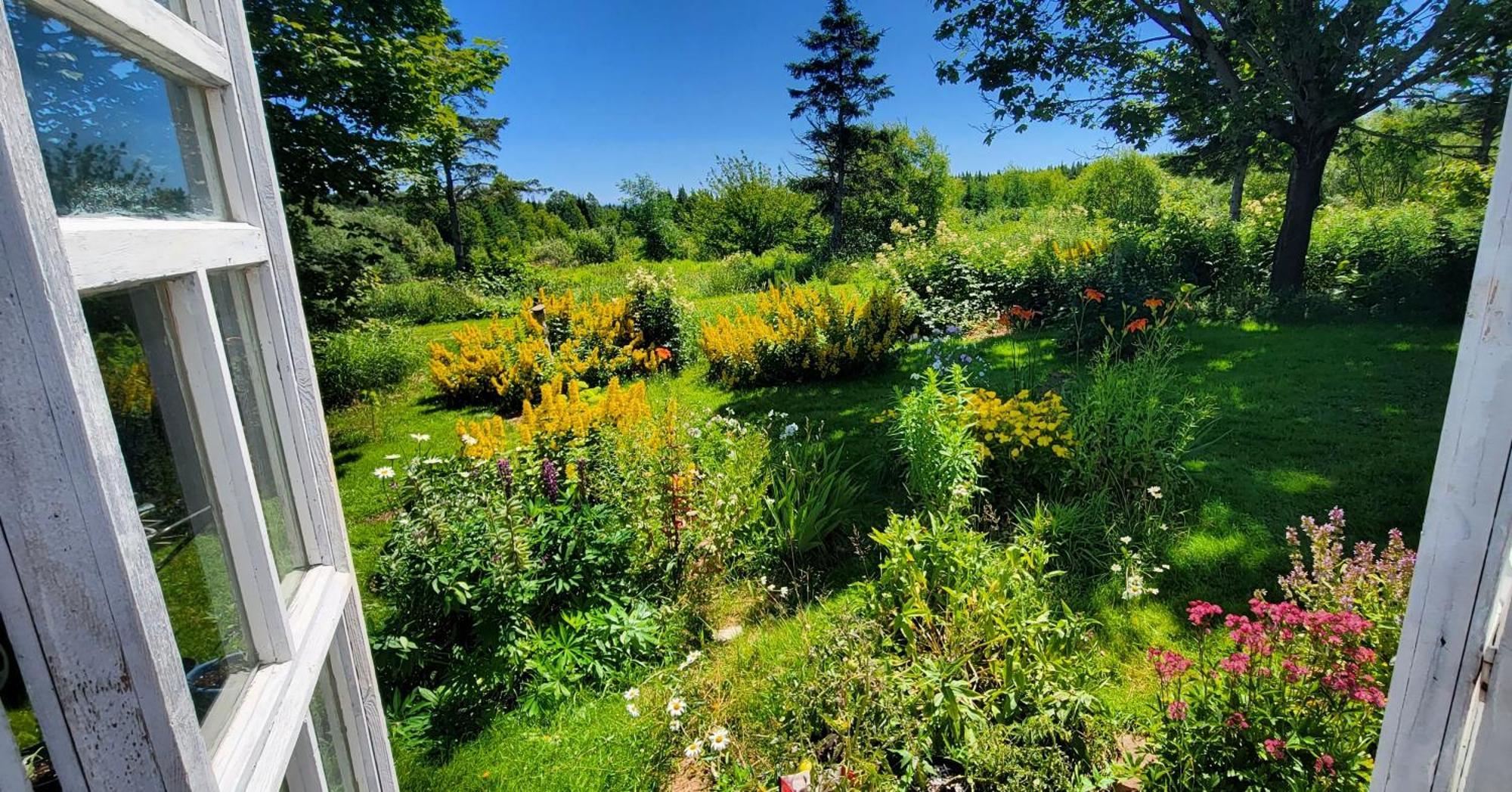 Gite Aux Jardins De L'Anse Perce Esterno foto
