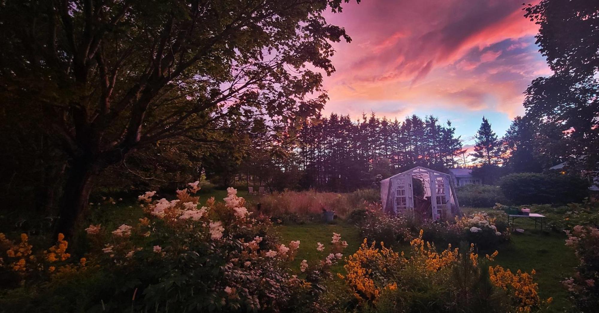 Gite Aux Jardins De L'Anse Perce Esterno foto