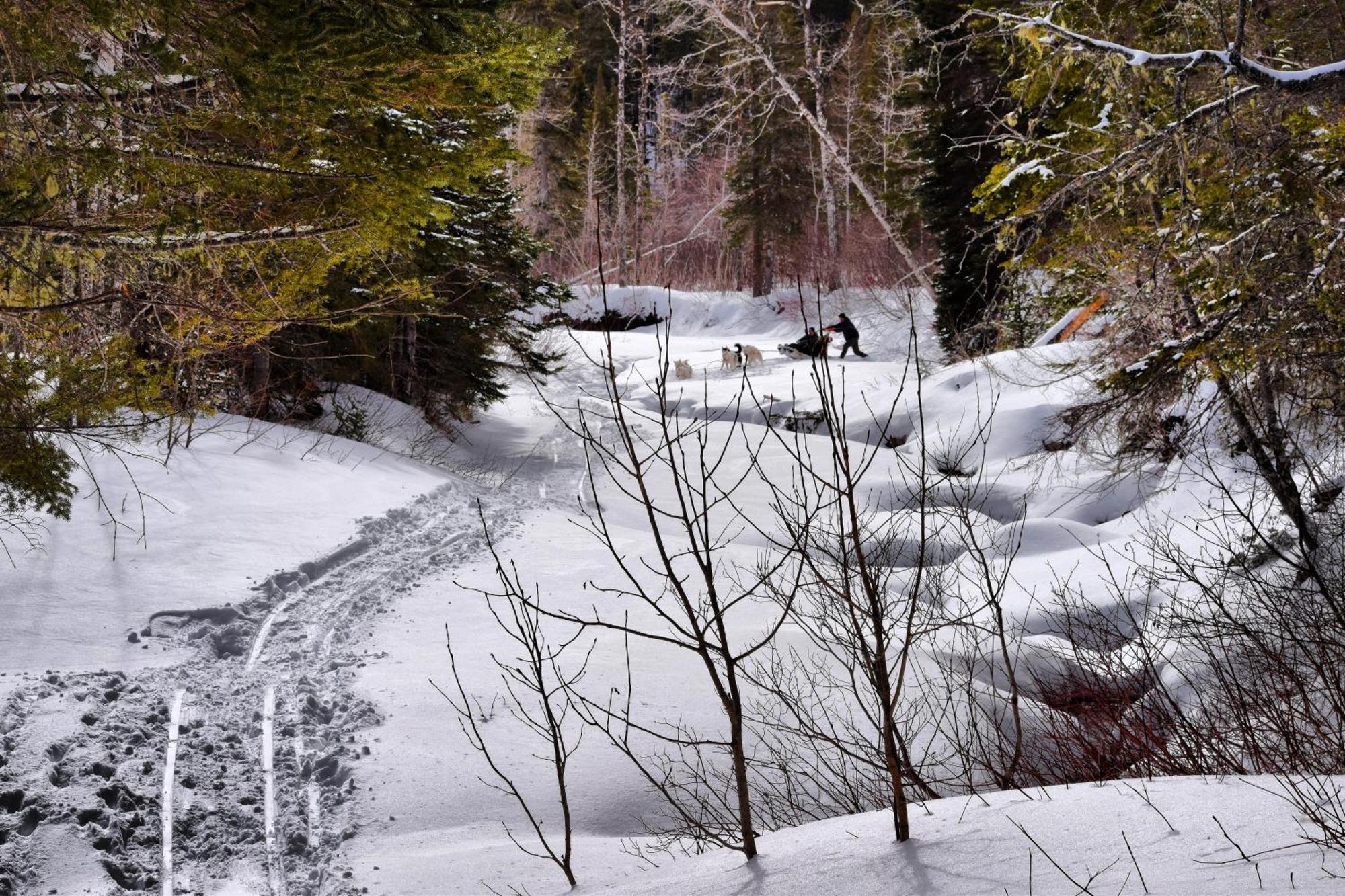 Gite Aux Jardins De L'Anse Perce Esterno foto