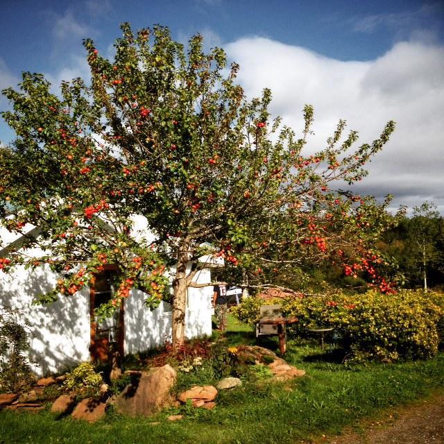 Gite Aux Jardins De L'Anse Perce Esterno foto