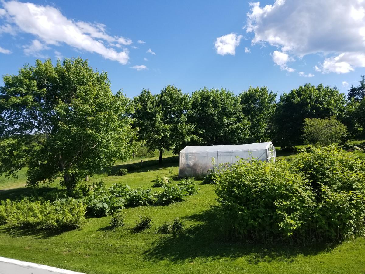 Gite Aux Jardins De L'Anse Perce Esterno foto