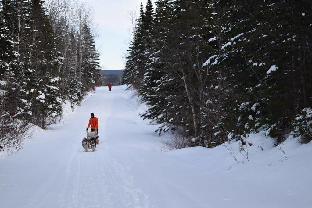 Gite Aux Jardins De L'Anse Perce Esterno foto