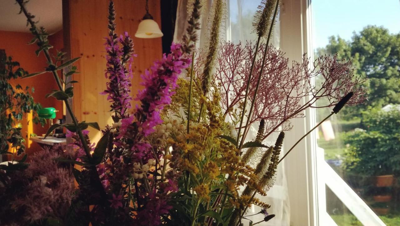 Gite Aux Jardins De L'Anse Perce Esterno foto